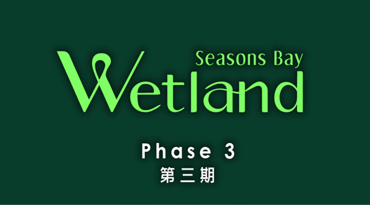 Wetland Seasons Bay 第3期 Wetland Seasons Bay Phase 3